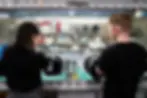 DSC00242.webp