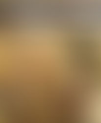 Kosher Experience - Evesham RD