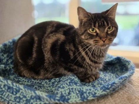 Noir is Happy to be Sponsored