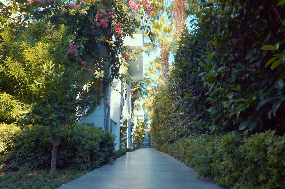 STANDART KARA MANZARALI DELUXE 2