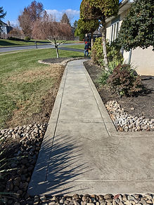 stamped walk maple 2.jpg