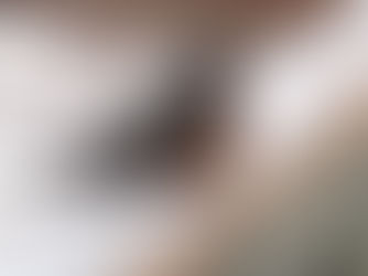 Attack of the Robins