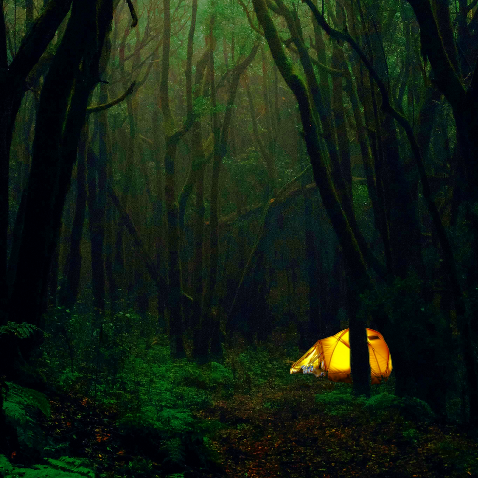 Tent in the Woods Thumbnail