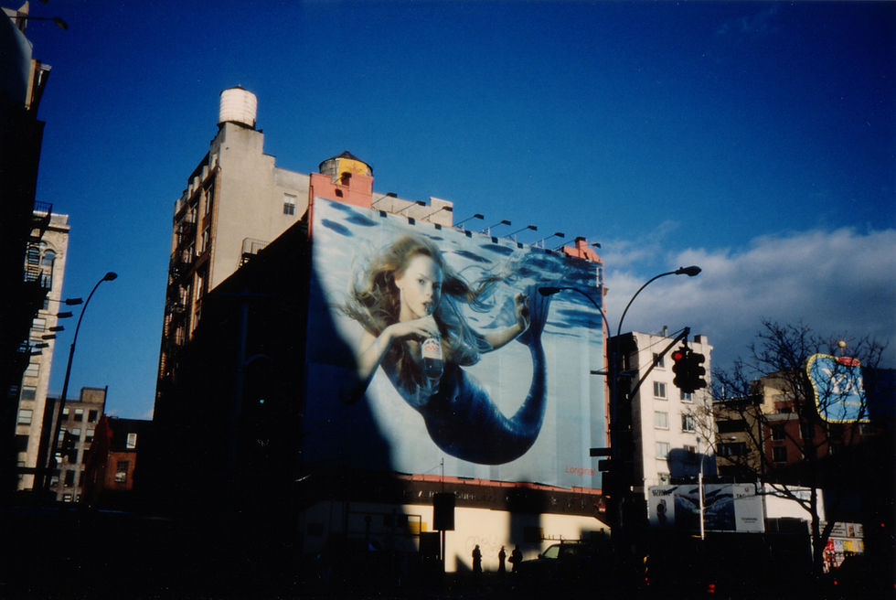ddm-ny7.jpg