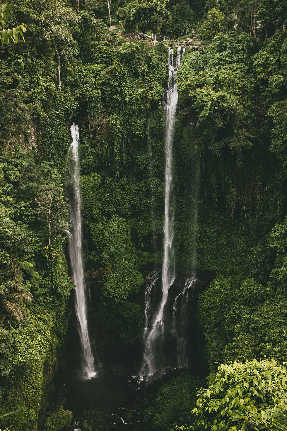 Les plus belles cascades de Bali à explorer 🌿