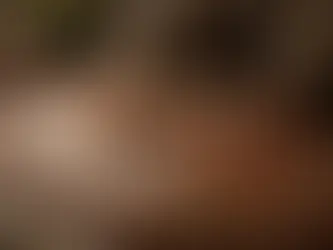 Rug Cleaning Services