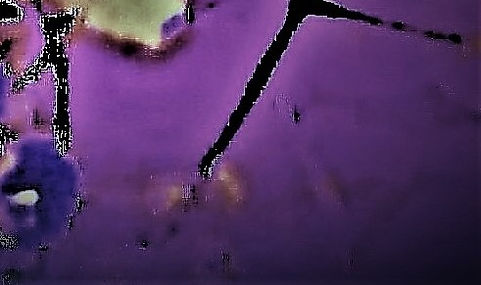 IMG_20190625_094655 (25).jpg