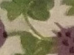 IMG_20100102_092831 (18)