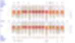 Periodontal evaluation chart.