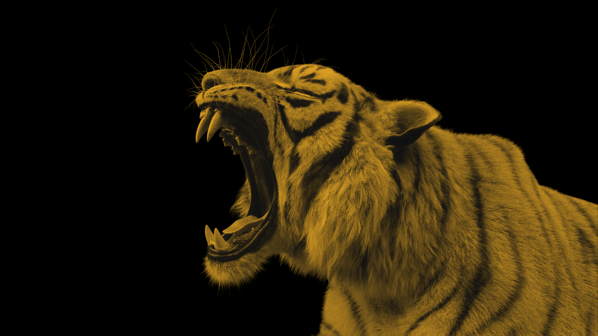 Writer: POUNCE Solutions