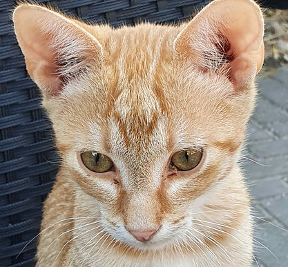 20250807_180825 (002).jpg