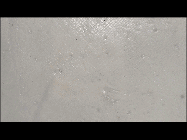 LCE Reveal_reduced.gif