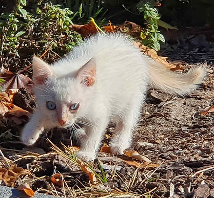 20251105_112859 (002).jpg