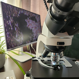 live blood analysis by microscopy in red deer medispa