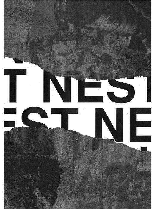 NEST (for website) 1.jpg