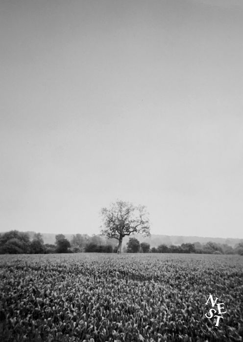 WILL WINSHIP_Page_1.jpg