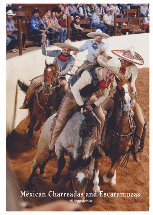 NEST _ISSUE_16-05.jpg