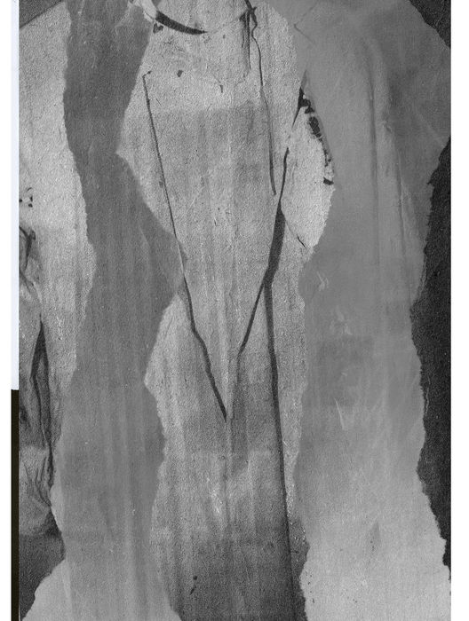 NEST (for website) 7.jpg