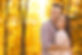 wix web AdobeStock_298945705.jpg