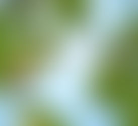 멕시코-이탈리아 교역, 10년 내 최대 5배 성장 가능성