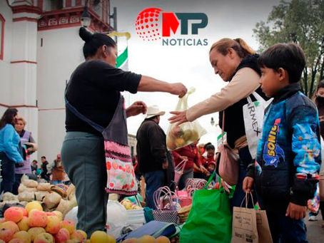 생필품부터 건설공사까지 장악…지방 범죄조직, "세금걷는 또 하나의 정부"