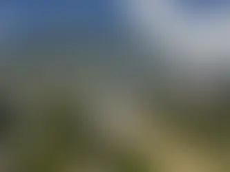 "멕시코 대학 어디를 선택해야 하나" 2026년 최신 순위로 본 유학·진학 현실 지도