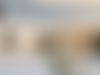 한 도시에만 거의 백만 마리 유기동물, 무책임한 입양의 상징