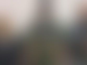 납치됐던 Michoacán州 Cotija 여성시장 무사히 돌아와..