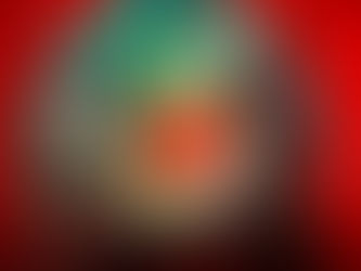 취임 5일만에 피살된 Chilpancingo시장, "지역 갱단은 왜 그를 죽였나?"