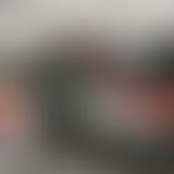 살티요-누에보 라레도 여객 열차 건설, 카를로스 슬림회사에 낙찰