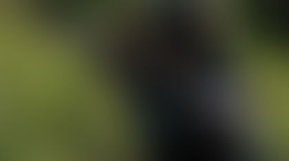 미국, 해외 테러 조직 목록에 멕시코 카르텔 6곳 추가 "직접 타격에 나서나?"