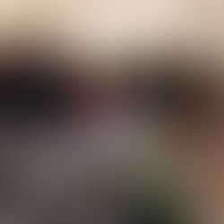 "CIA가 뒷문으로 들어왔다"…치와와 비밀작전, 멕시코 권력 충돌로 비화