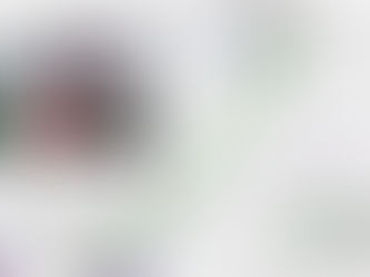 신공항(AIFA)-Pachuca 고속열차 입찰에 중국업체 경쟁사에 비해 거의 절반가격 제시