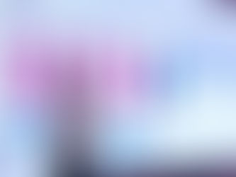 멕시코의 살인율 2016년 이후 최저치 기록했다는데.., 그래도 하루 81명꼴 피살