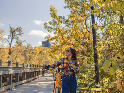 A Perfect Fall Weekend in Ann Arbor