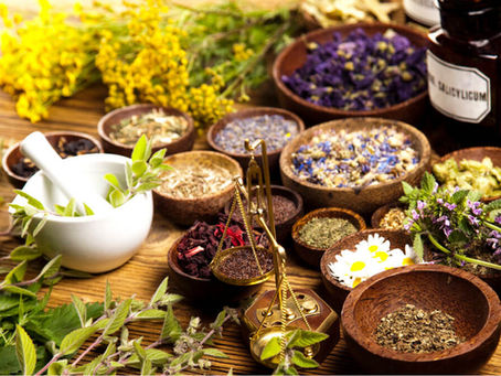 MARCH 2026: PLANT LORE STUDY GROUP: BOTANICAL DIGESTIVES: GUT HEALTH & HERBAL BITTERS