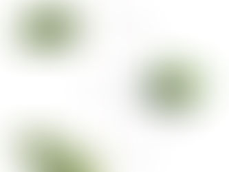 WISDOM FROM THE WILD CHILD GARDEN: SEPTEMBER 2022: HERBAL FIRST AID: PART II: