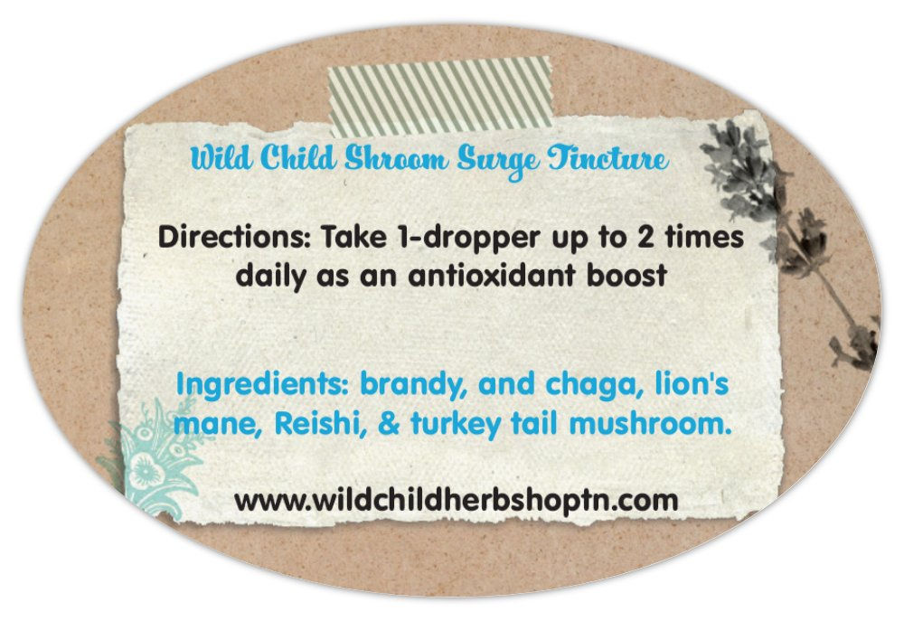 Wild Child Organic Mushroom Tinctures
