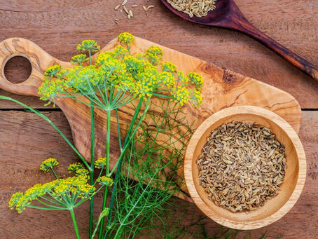 WISDOM FROM THE WILD CHILD GARDEN: OCTOBER 2022: HERBAL DIGESTIVE SUPPORT: PART I: