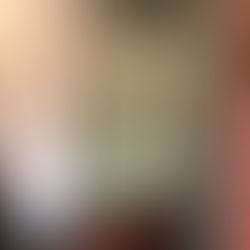 Paire de vitrines d’exposition / A pair of display cases 19th century