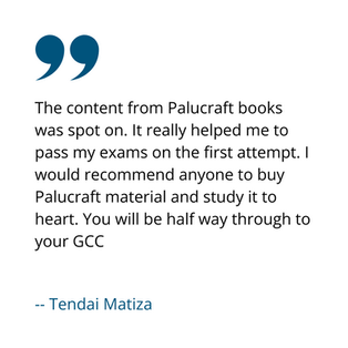 Tendai Matiza Palucraft review