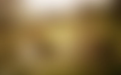 Je ne permettrai pas que mes enfants se perdent!