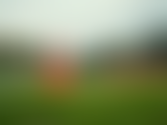 Boost Your Soccer Skills at Soccer IQ Institute: Soccer Training Insights