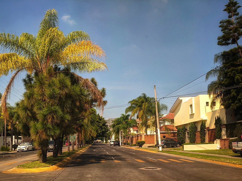 Zapopan, Street, Home, Palm Tree, Blue Sky