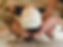 image00036.jpeg