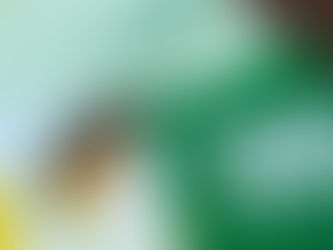 Pherobio insect pheromone product brochure and green prevention materials displayed at BioEx 2026; featuring sustainable Integrated Pest Management (IPM) technologies.