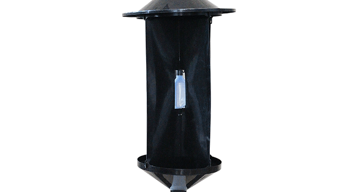 Longhorn Beetle Trap