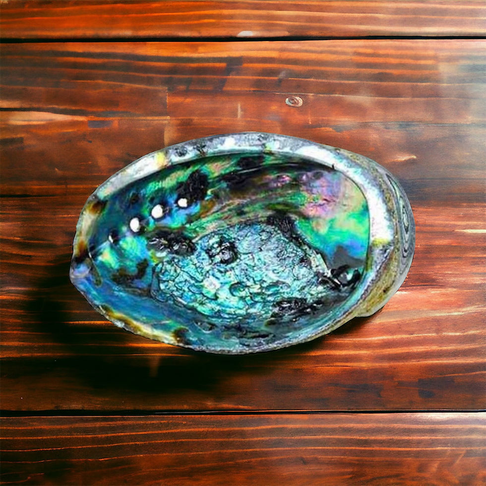 Green Abalone Shell