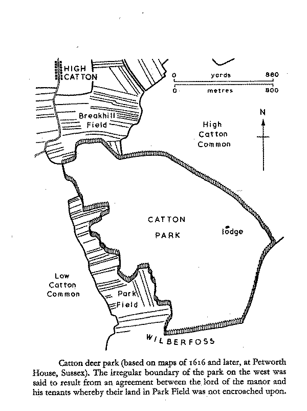 Catton_Deer_Park.gif