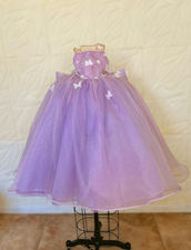Butterfly dress 5yr old